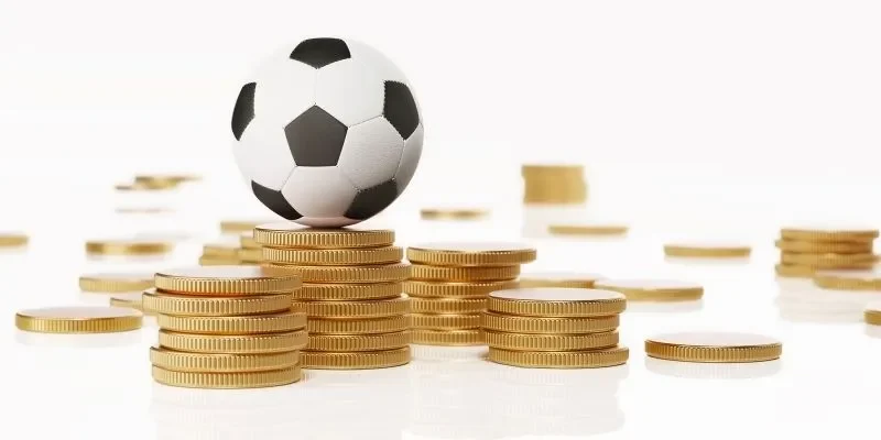 Xây dựng chiến lược cược từ thông tin và dữ liệu